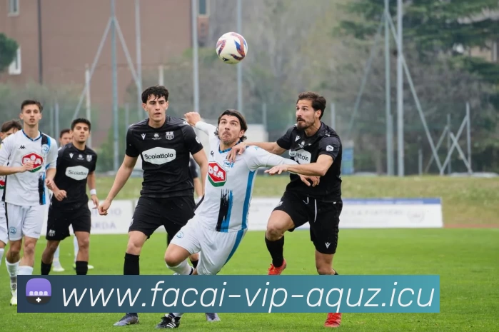 星空体育注册品牌故事