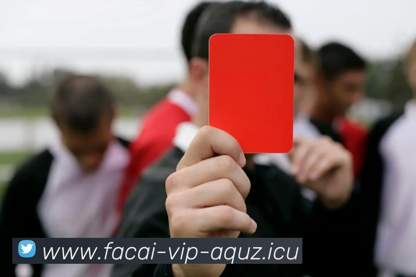 星空体育注册服务体系